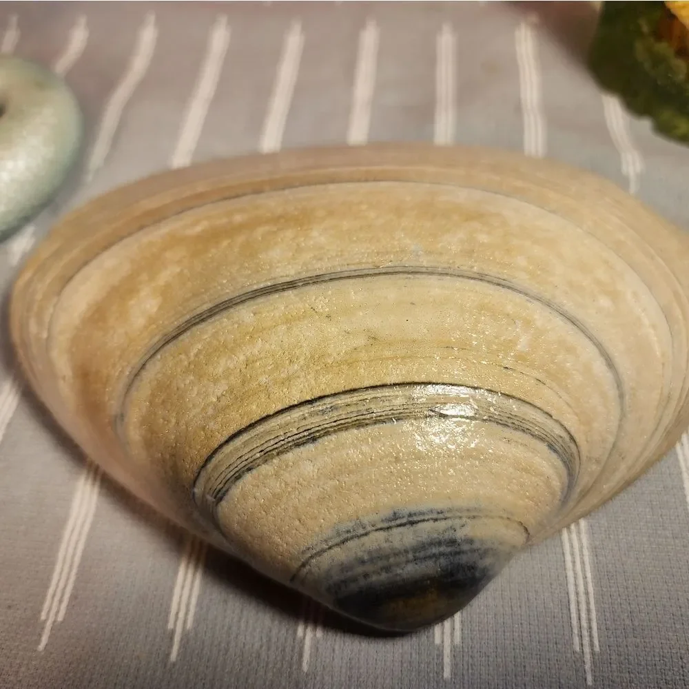 Decoupage clam shell   - Picture 7 of 7